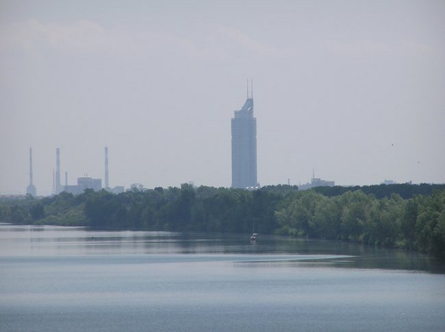 65.jpg