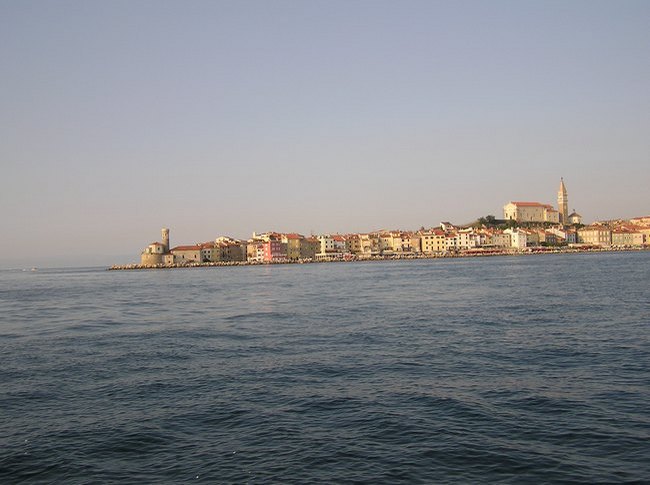 48.jpg
