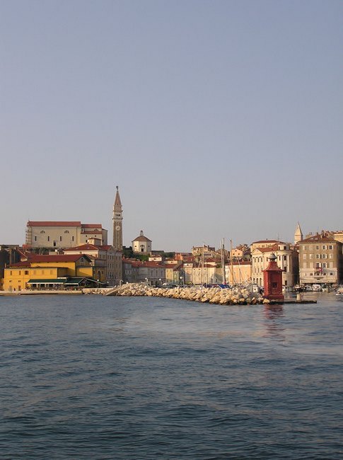 51.jpg