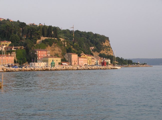 63.jpg