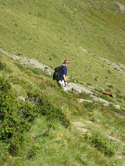 042.jpg
