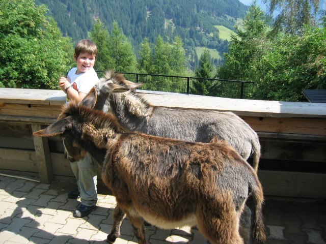 114.jpg