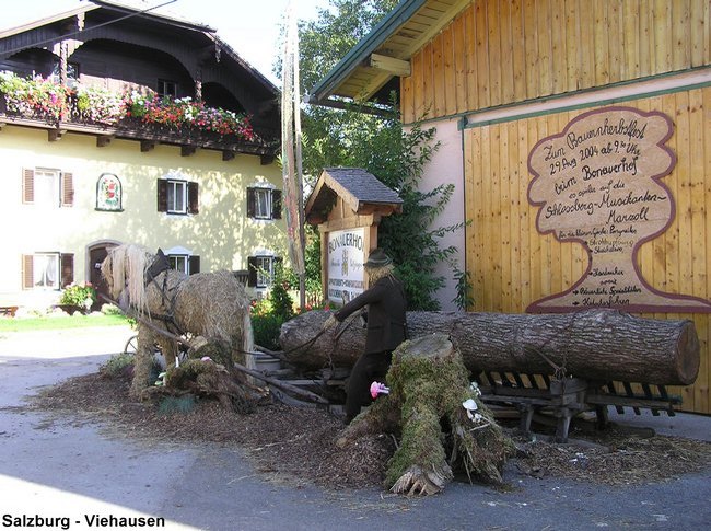 03.jpg