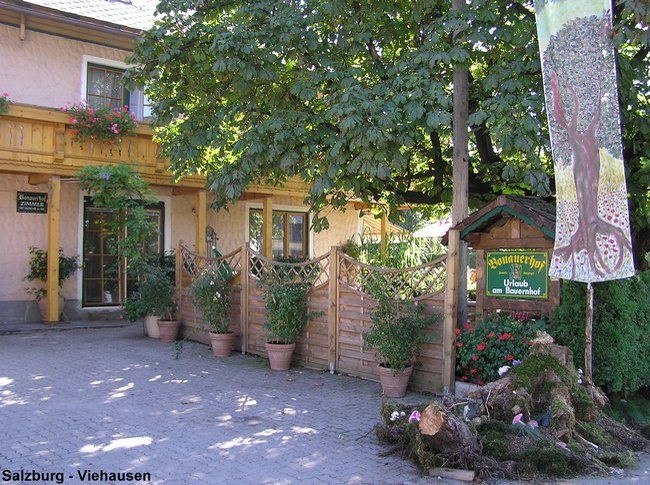 05.jpg