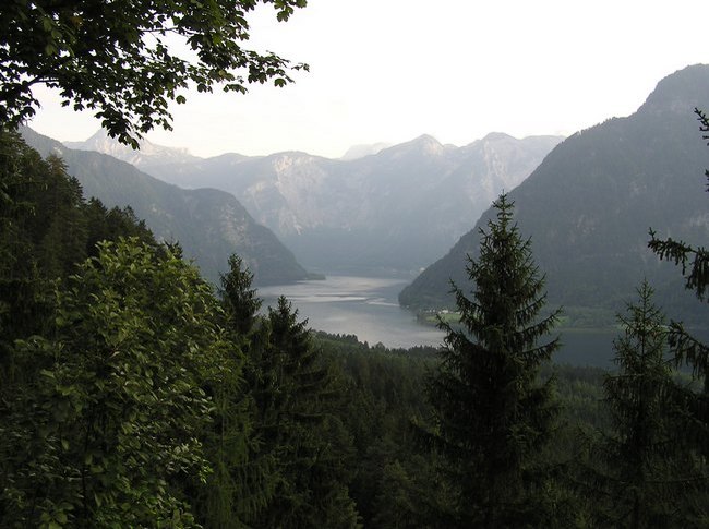 79.jpg