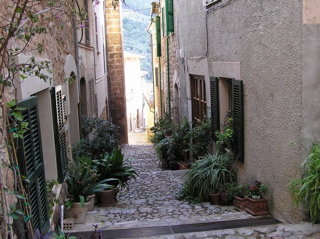 103.jpg