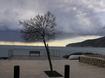 026.jpg