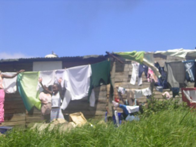 050.jpg