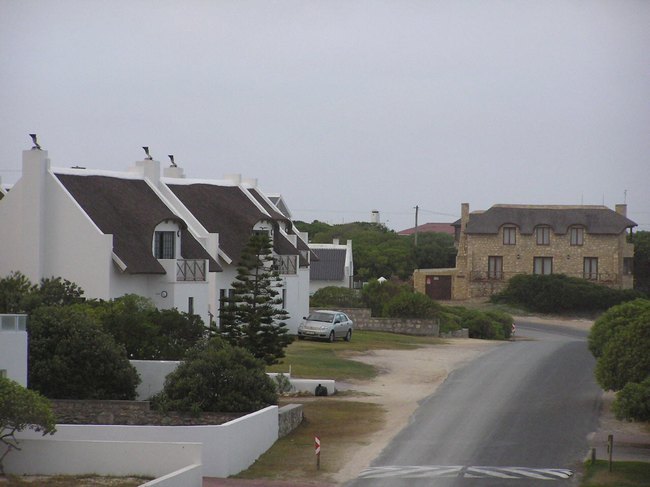 117.jpg