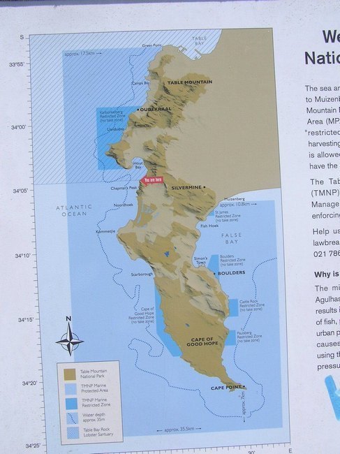 195.jpg