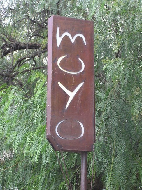 251.jpg