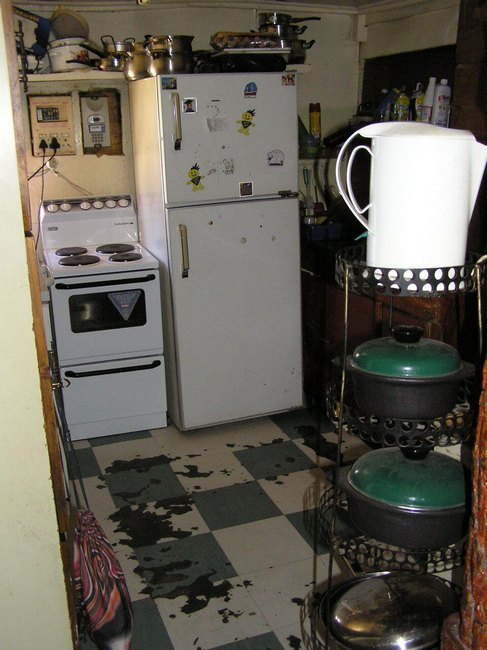 338.jpg