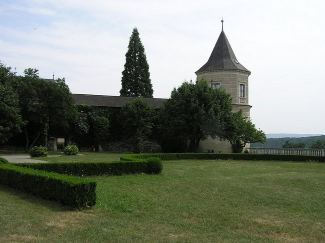 06.jpg
