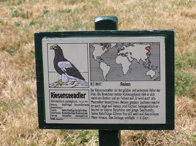 39.jpg