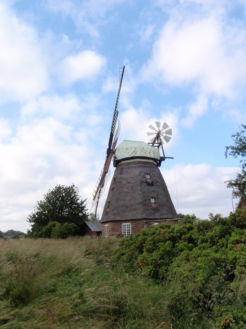 117.jpg