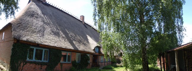 133.jpg