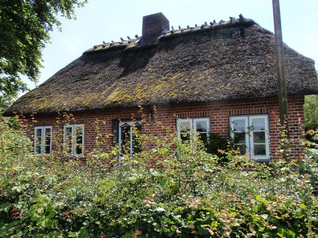 135.jpg