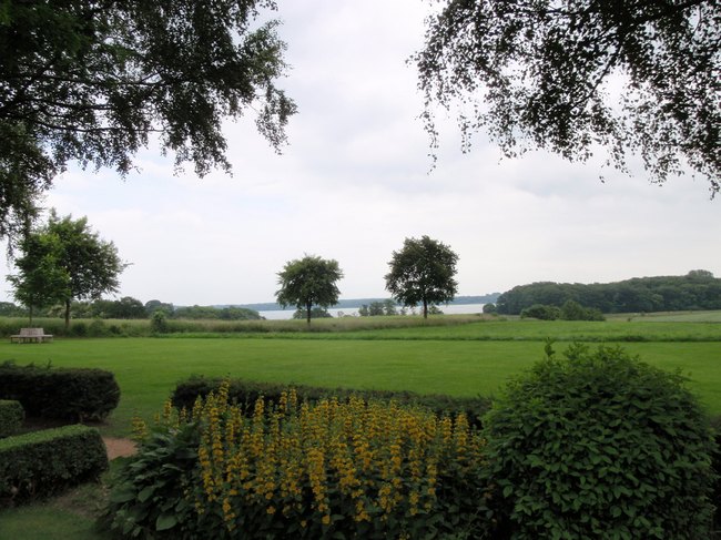146.jpg
