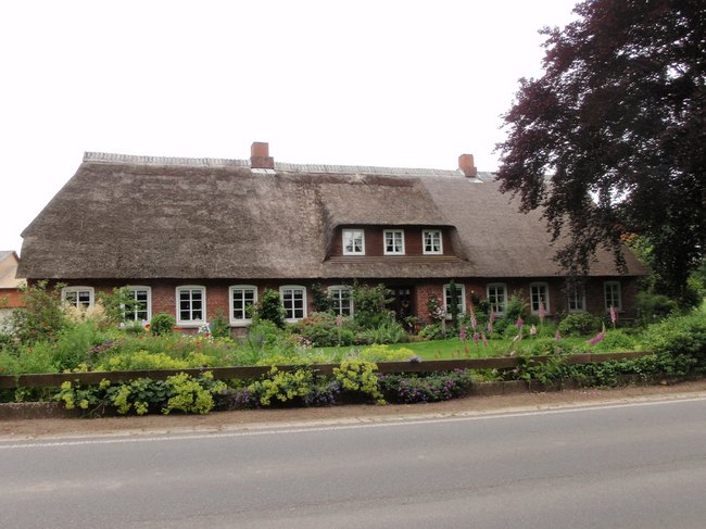 149.jpg