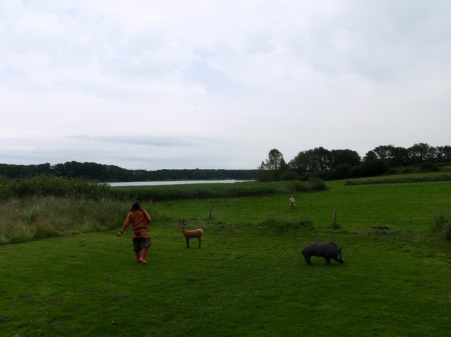 166.jpg