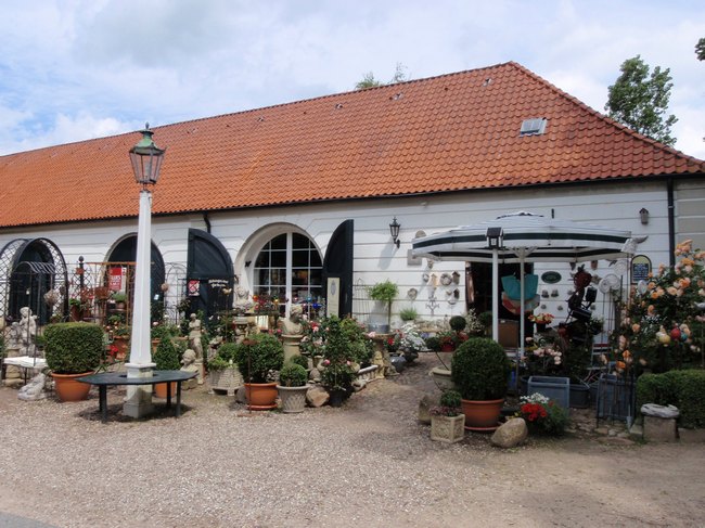 176.jpg