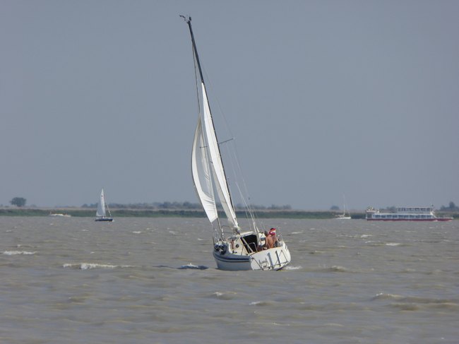 08.jpg