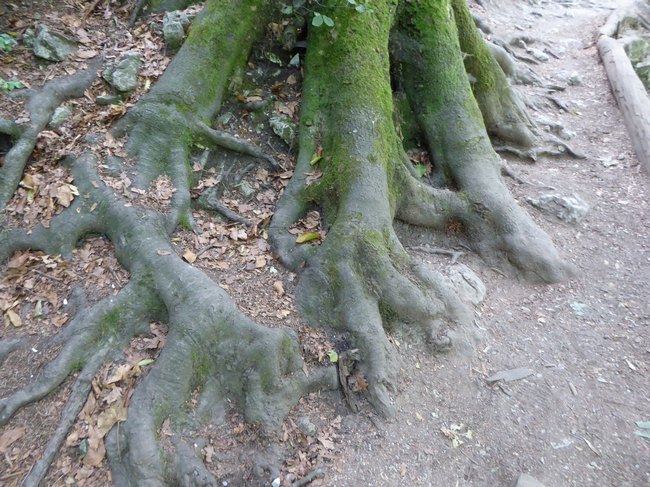 07.jpg