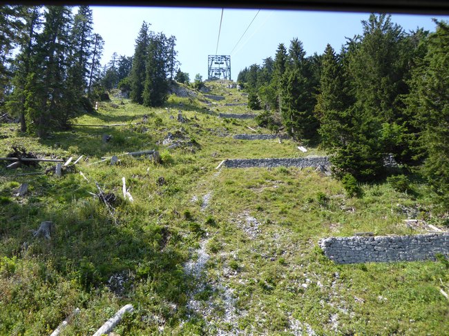 04.jpg