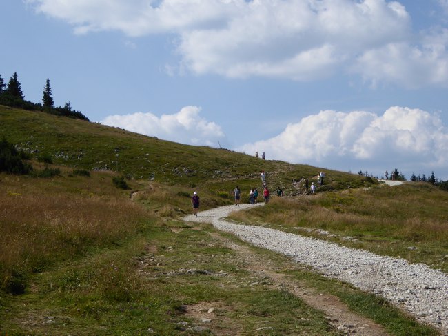 07.jpg