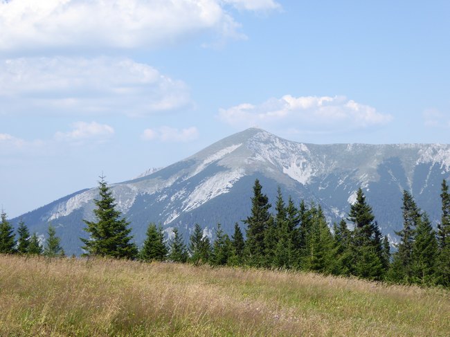 08.jpg